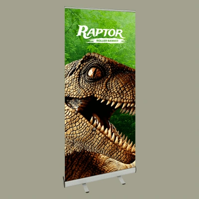  Raptor With Background