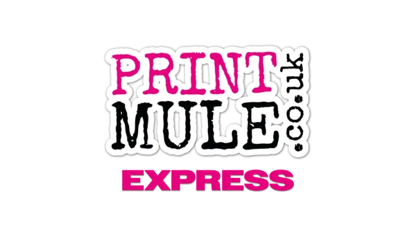  Express Category