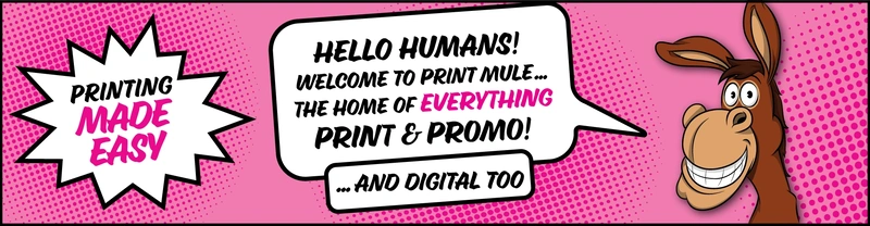  Main Banner