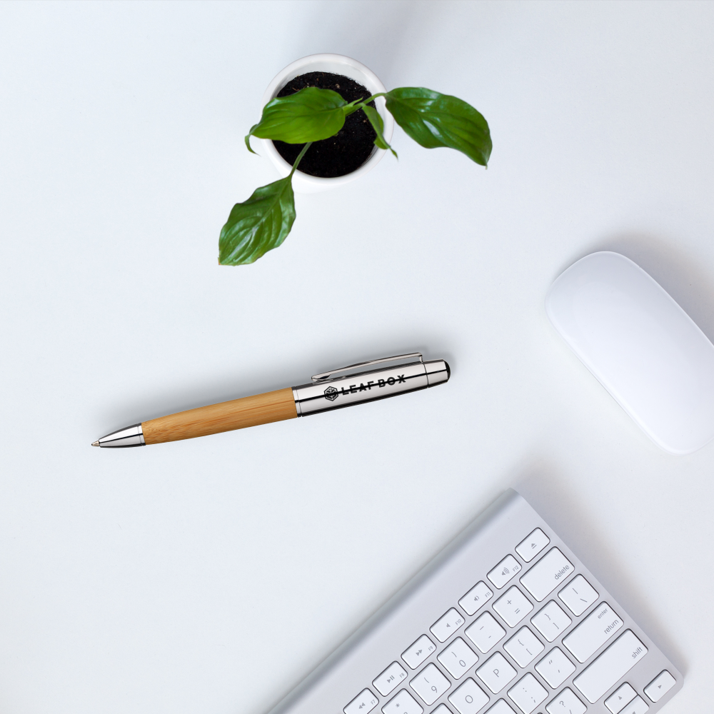 Bamboo pen with case