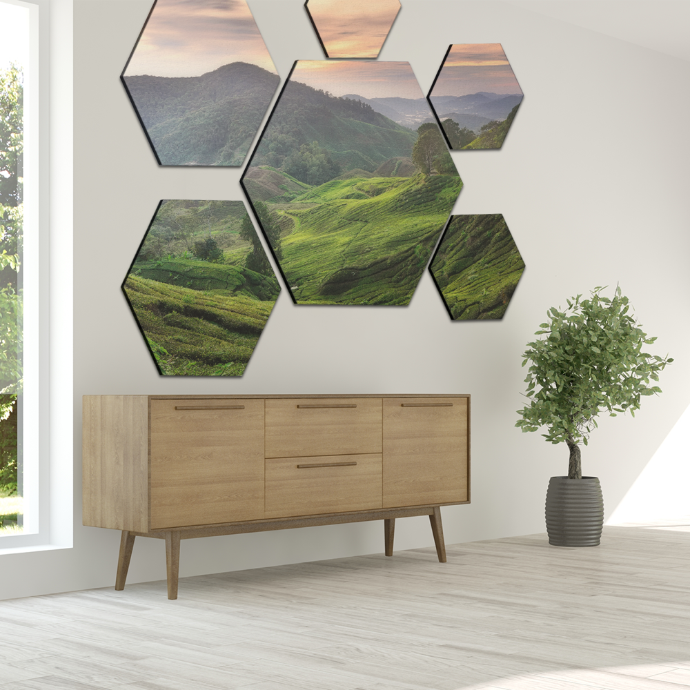 Hexagon Acoustic Photo Panels