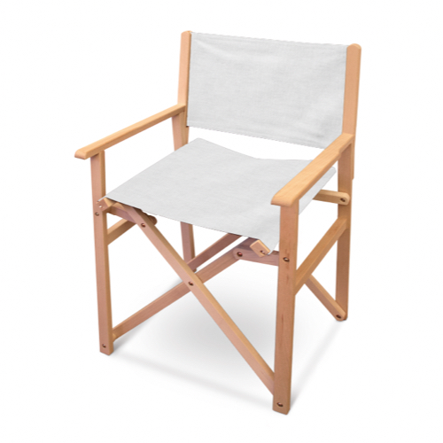 Director's Chair