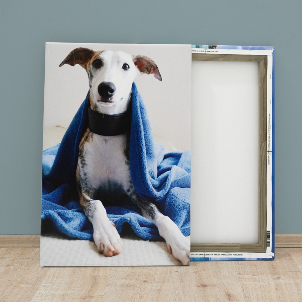 Photo Canvas Outdoor 6